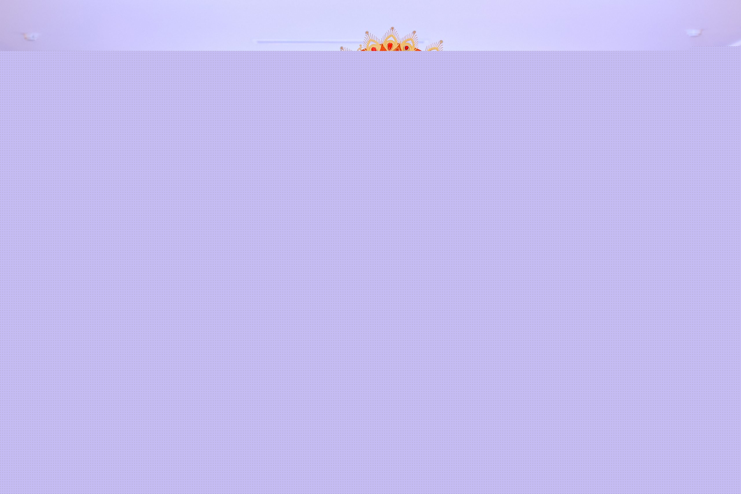 Điều gì khiến doanh nhân Nguyễn Kim Ngọc quyết tâm đấu giá bộ vedette “Phụng Long Vân” trong đêm Gala?